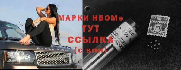 соль ск Козельск