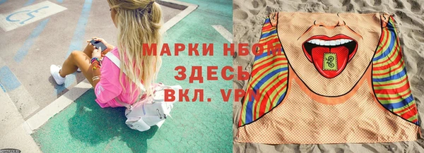 сатива Краснотурьинск
