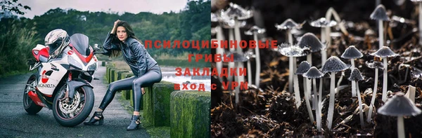 бутират Козловка