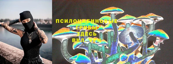 соль ск Козельск